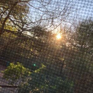 Meet your Posher, Star